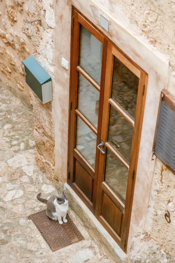 wooden front door installation and window replacement